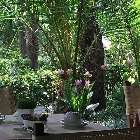 Raffaelli Park 4* Forte dei Marmi