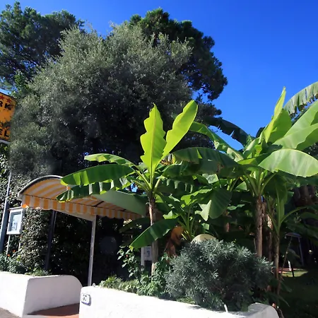 Raffaelli Park 호텔 4*