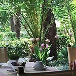 Hotel Raffaelli Park Forte dei Marmi