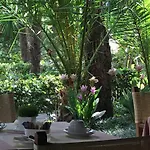 Raffaelli Park 4* Forte dei Marmi