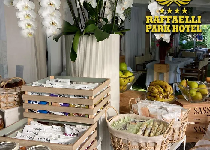 Raffaelli Park 4* 马尔米堡